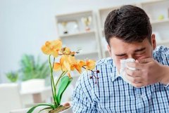 过敏性鼻炎反复发作我们需要怎么预防？